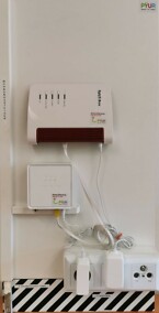 Galeriebild