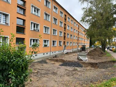 Galeriebild